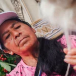 Tejiendo algodón